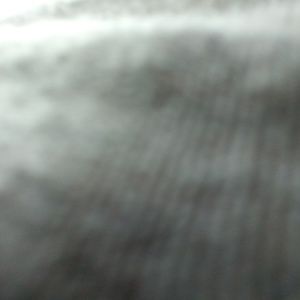 Meet your Posher, Trentin